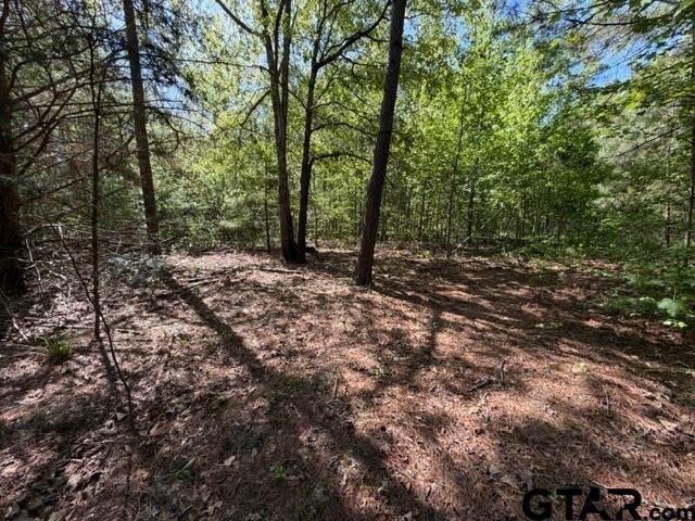000 FM 850, Tyler, TX 75705