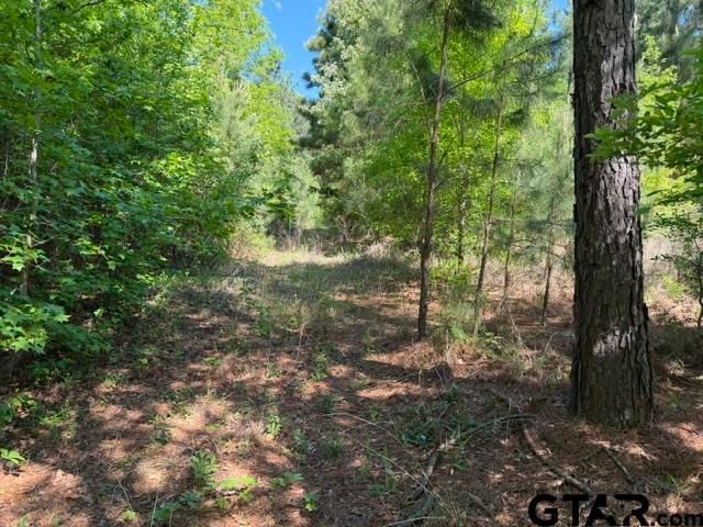 000 FM 850, Tyler, TX 75705