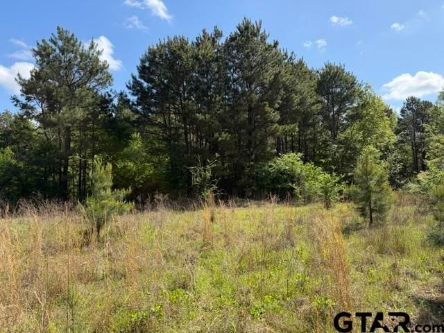 000 FM 850, Tyler, TX 75705