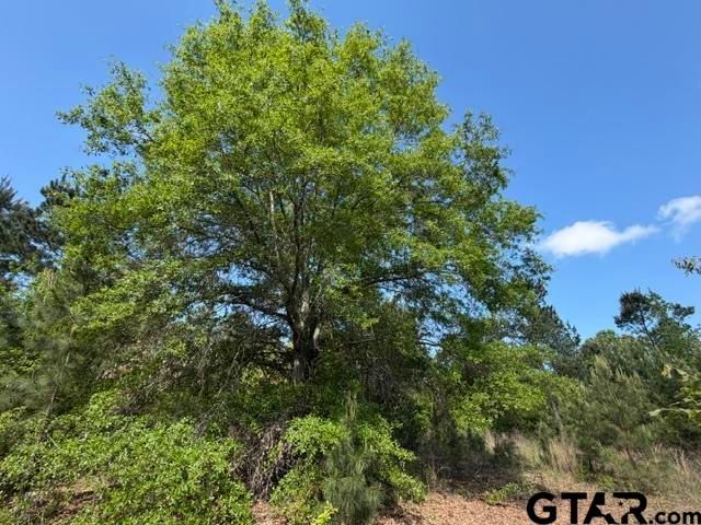 000 FM 850, Tyler, TX 75705