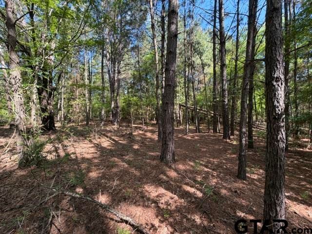 000 FM 850, Tyler, TX 75705