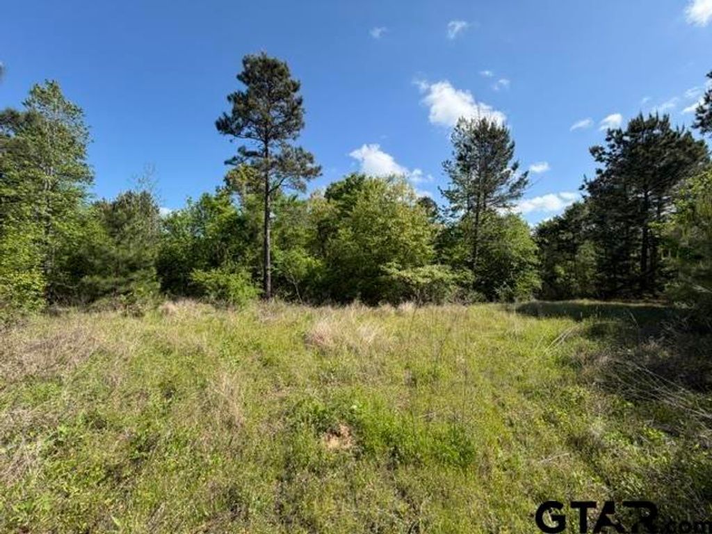 000 FM 850, Tyler, TX 75705