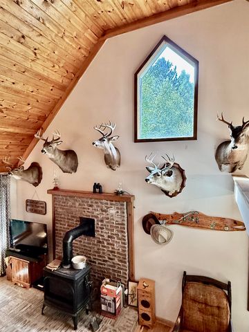 16121 130th Avenue, Rose Lake Twp, MI 49655