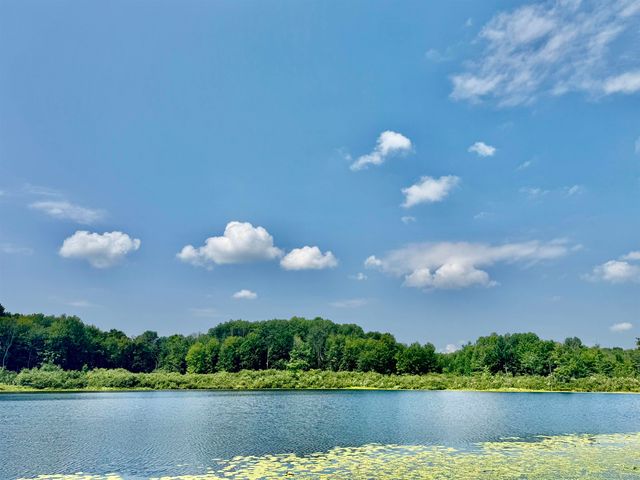 16121 130th Avenue, Rose Lake Twp, MI 49655