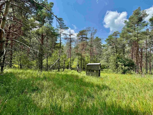 16121 130th Avenue, Rose Lake Twp, MI 49655