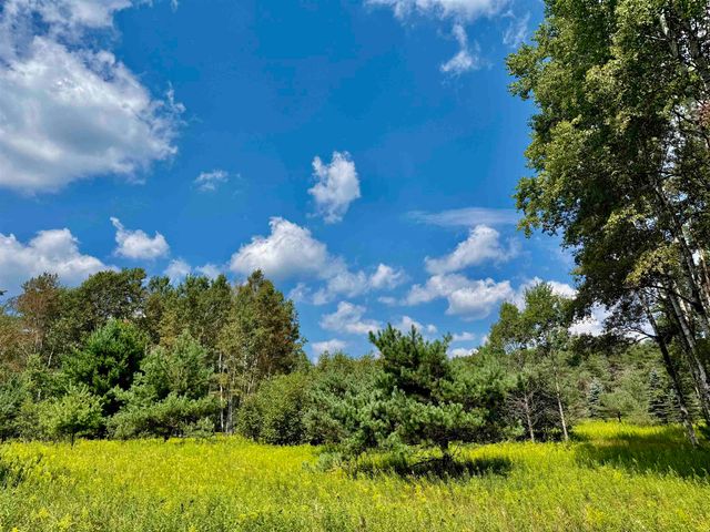 16121 130th Avenue, Rose Lake Twp, MI 49655