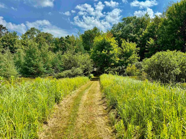 16121 130th Avenue, Rose Lake Twp, MI 49655