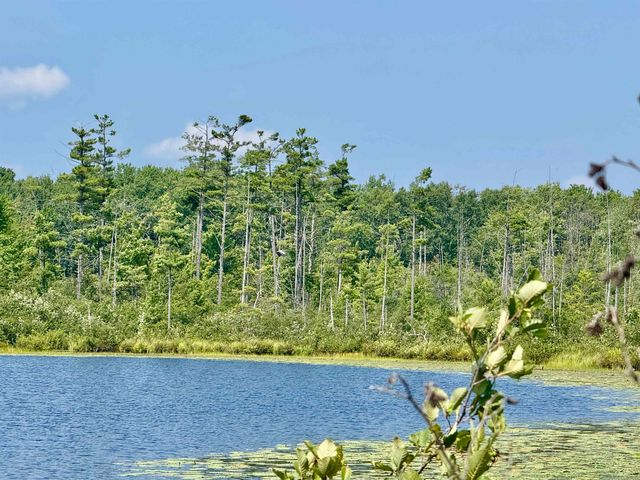 16121 130th Avenue, Rose Lake Twp, MI 49655