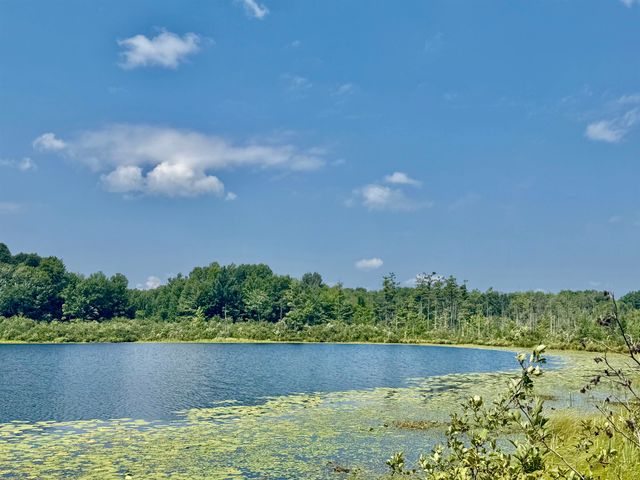 16121 130th Avenue, Rose Lake Twp, MI 49655