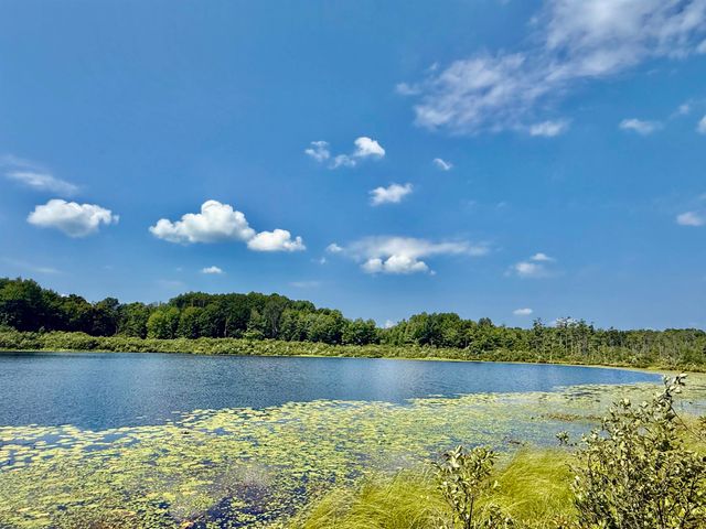 16121 130th Avenue, Rose Lake Twp, MI 49655