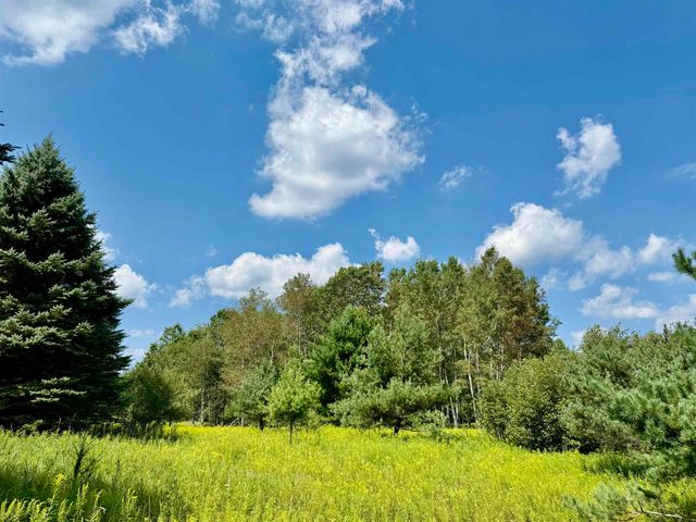 16121 130th Avenue, Rose Lake Twp, MI 49655