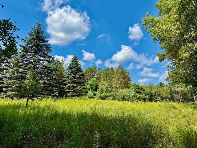 16121 130th Avenue, Rose Lake Twp, MI 49655