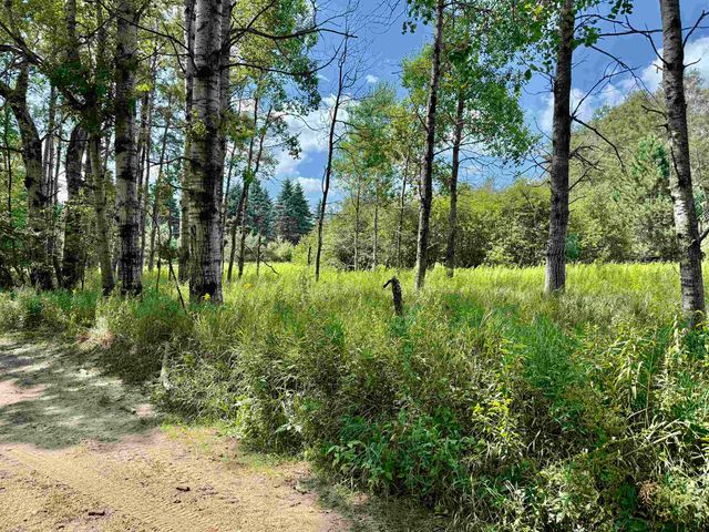 16121 130th Avenue, Rose Lake Twp, MI 49655