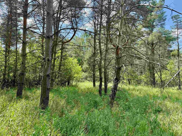 16121 130th Avenue, Rose Lake Twp, MI 49655