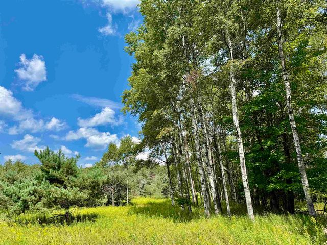 16121 130th Avenue, Rose Lake Twp, MI 49655