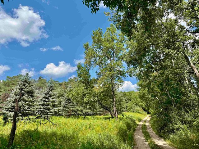 16121 130th Avenue, Rose Lake Twp, MI 49655