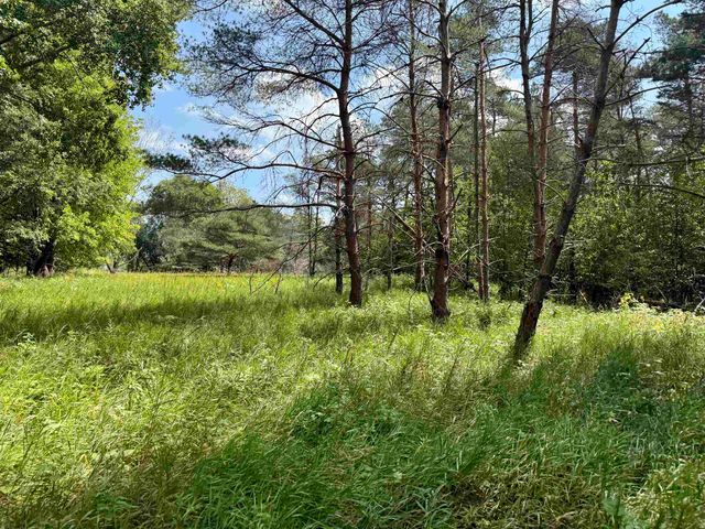 16121 130th Avenue, Rose Lake Twp, MI 49655