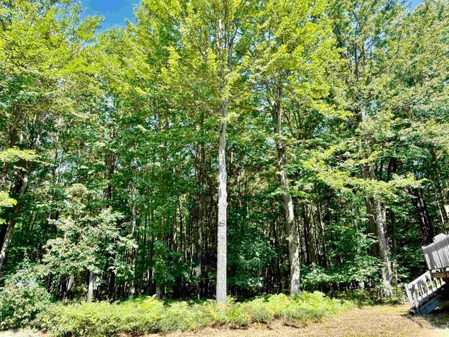 16121 130th Avenue, Rose Lake Twp, MI 49655