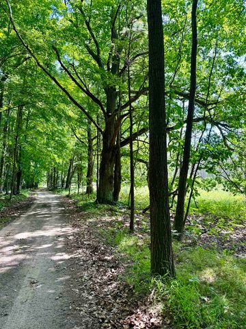 16121 130th Avenue, Rose Lake Twp, MI 49655