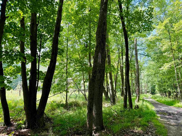 16121 130th Avenue, Rose Lake Twp, MI 49655