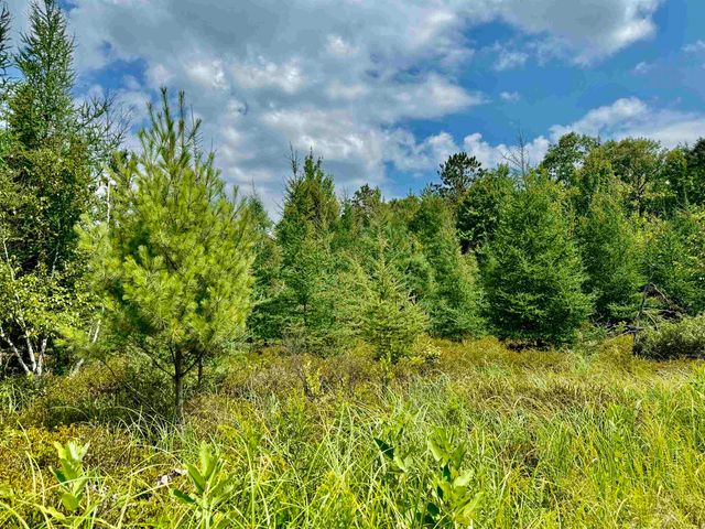 16121 130th Avenue, Rose Lake Twp, MI 49655