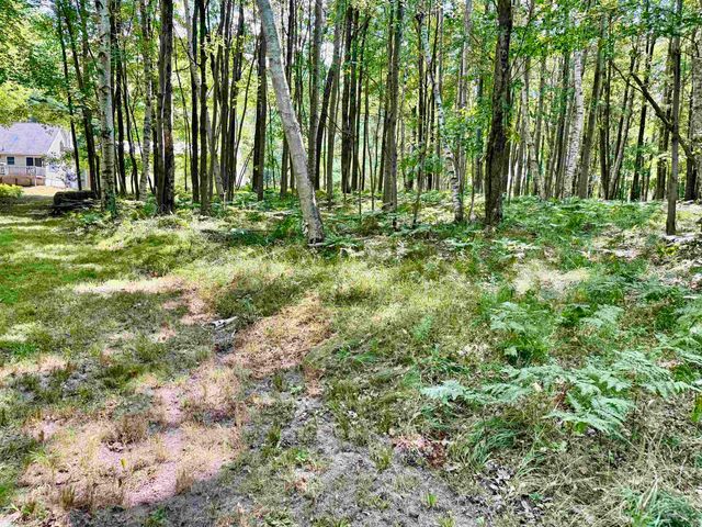 16121 130th Avenue, Rose Lake Twp, MI 49655