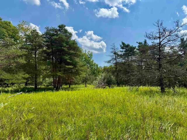 16121 130th Avenue, Rose Lake Twp, MI 49655