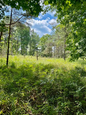 16121 130th Avenue, Rose Lake Twp, MI 49655