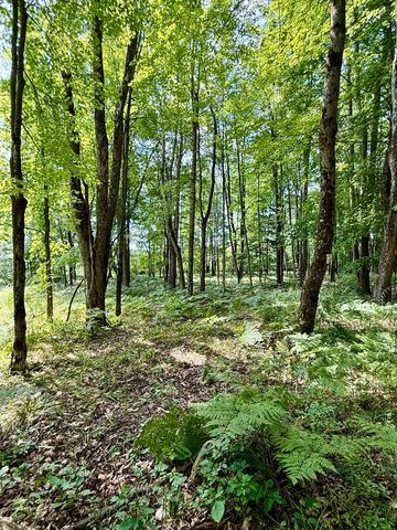 16121 130th Avenue, Rose Lake Twp, MI 49655