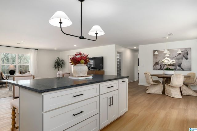 1202 CAHABA RIVER ESTATES, Hoover, AL 35244