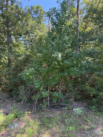 TBD Creeklake Drive, Onalaska, TX 77360
