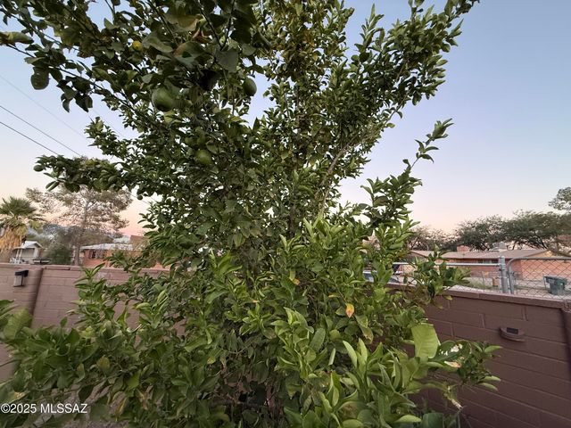 2441 N Jordan Drive, Tucson, AZ 85745