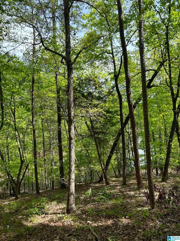 Lots 124 RED CEDAR DRIVE, Wedowee, AL 36278