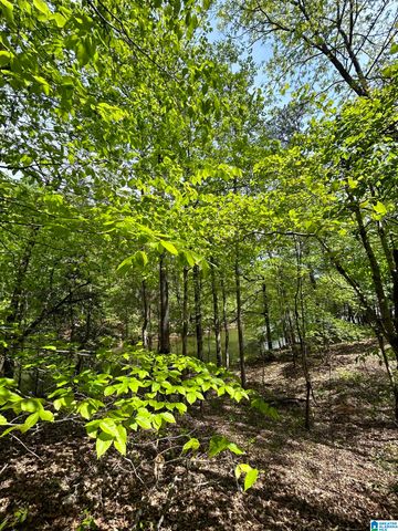 Lots 124 RED CEDAR DRIVE, Wedowee, AL 36278