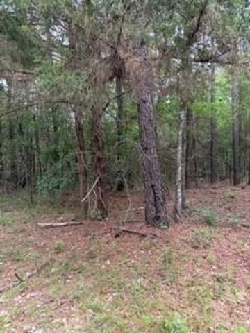 139785 Winters Vista Drive, Willis, TX 77378