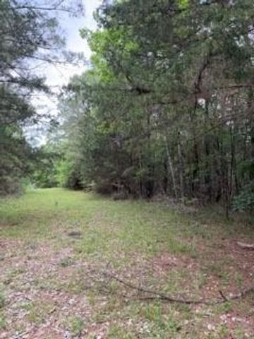 139785 Winters Vista Drive, Willis, TX 77378