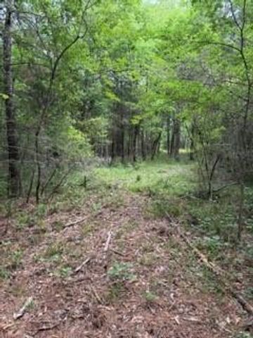 139785 Winters Vista Drive, Willis, TX 77378