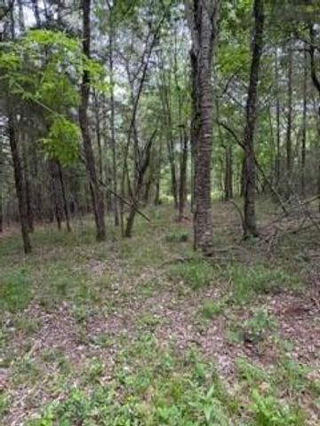 139785 Winters Vista Drive, Willis, TX 77378