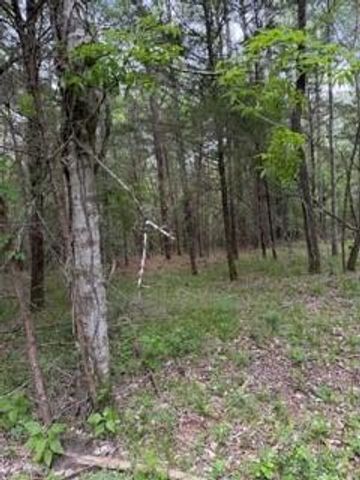 139785 Winters Vista Drive, Willis, TX 77378