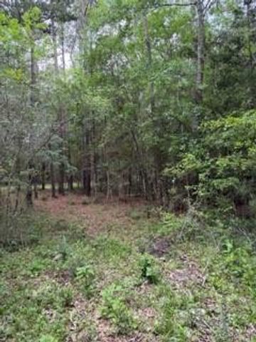 139785 Winters Vista Drive, Willis, TX 77378