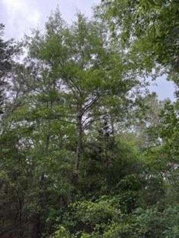 139785 Winters Vista Drive, Willis, TX 77378