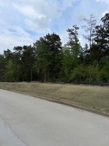 139785 Winters Vista Drive, Willis, TX 77378