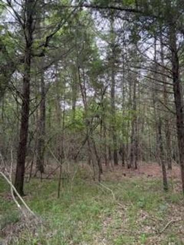 139785 Winters Vista Drive, Willis, TX 77378