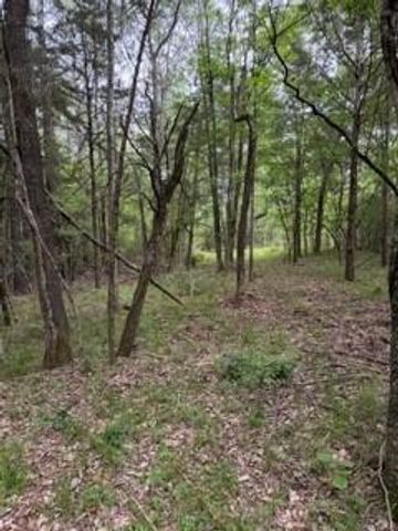 139785 Winters Vista Drive, Willis, TX 77378