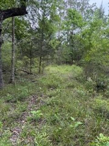 139785 Winters Vista Drive, Willis, TX 77378