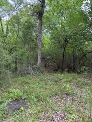 139785 Winters Vista Drive, Willis, TX 77378