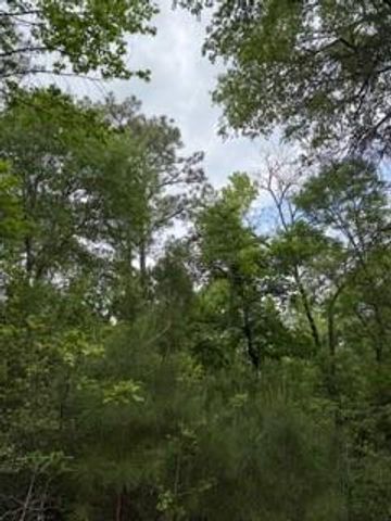 139785 Winters Vista Drive, Willis, TX 77378
