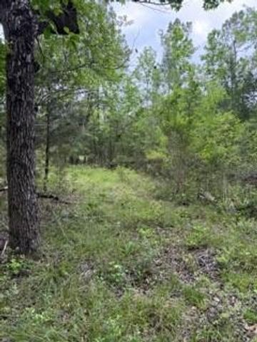 139785 Winters Vista Drive, Willis, TX 77378
