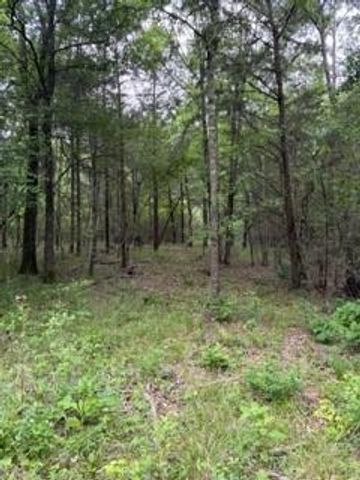 139785 Winters Vista Drive, Willis, TX 77378