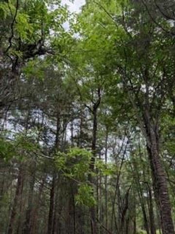 139785 Winters Vista Drive, Willis, TX 77378
